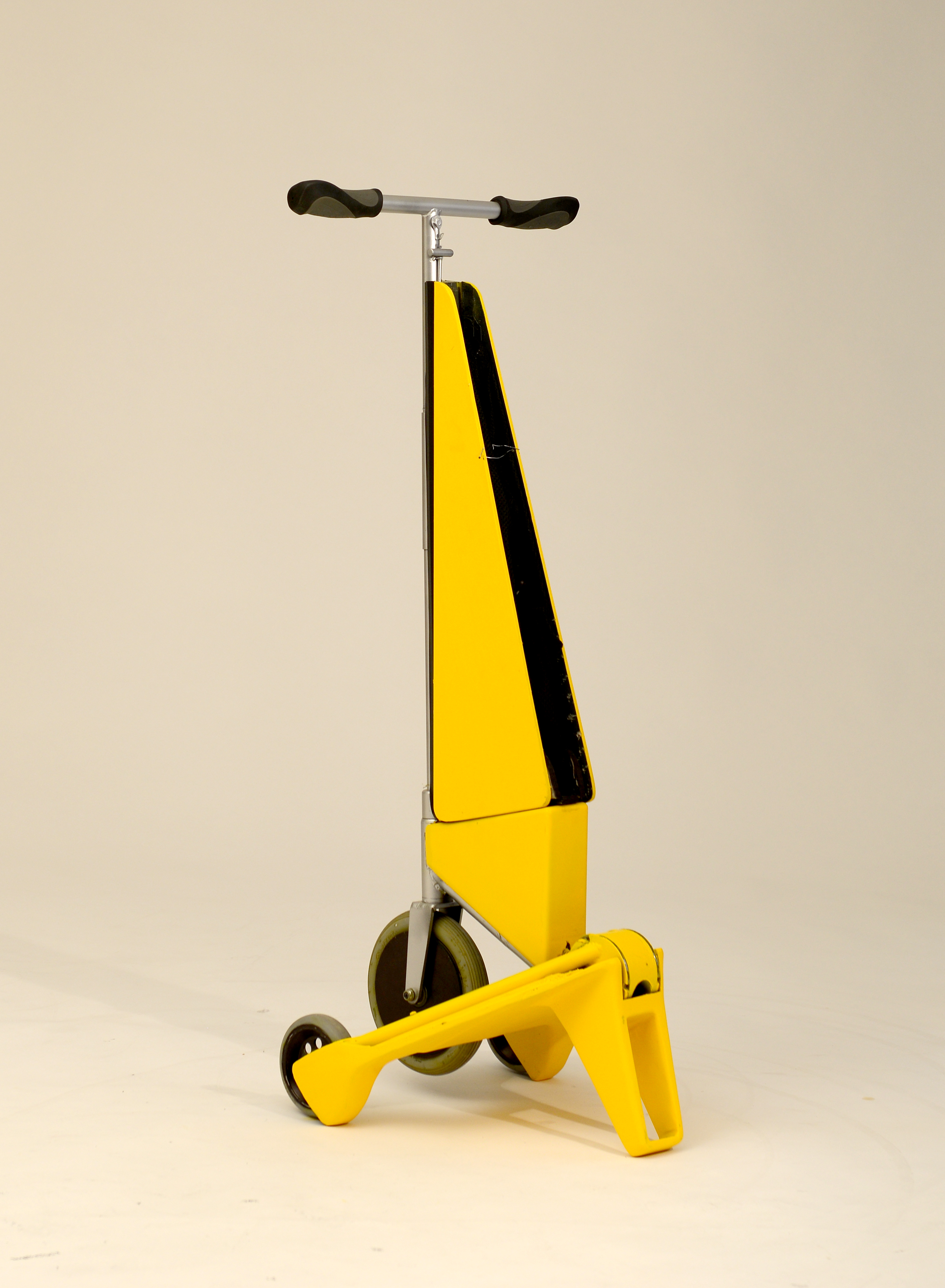 Citrus Electric scooter Citrus Electric scooter
