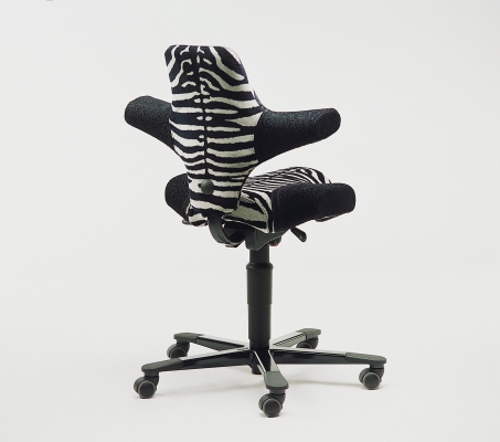 Capisco chair Capisco chair