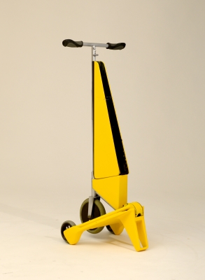 Citrus Electric scooter Citrus Electric scooter